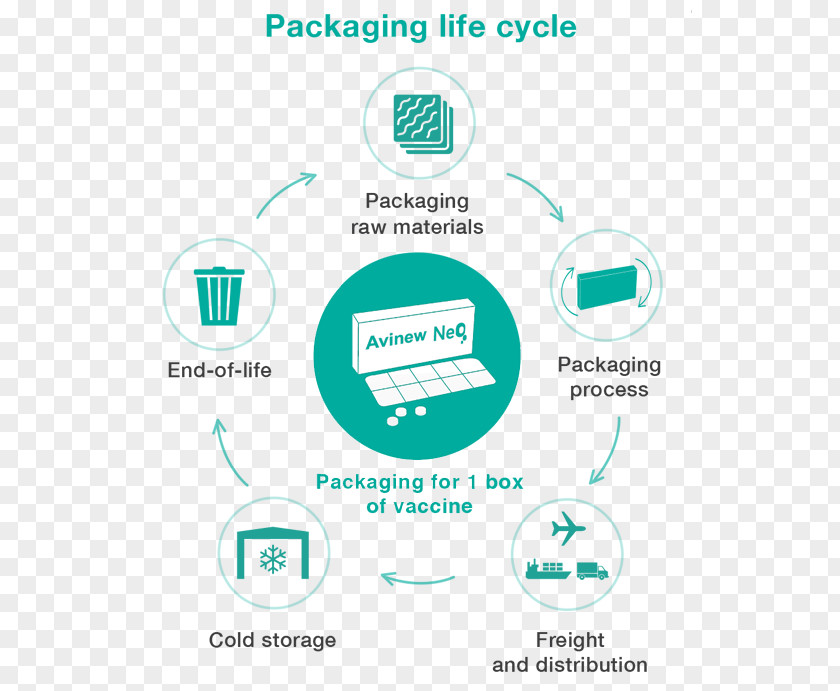 Box Packaging And Labeling Product Lifecycle Cardboard PNG