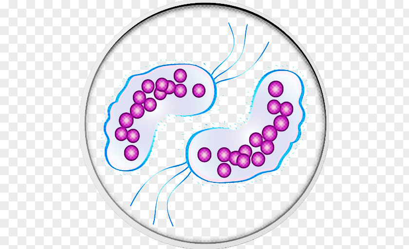 Circle Cell Culture Virus Area PNG