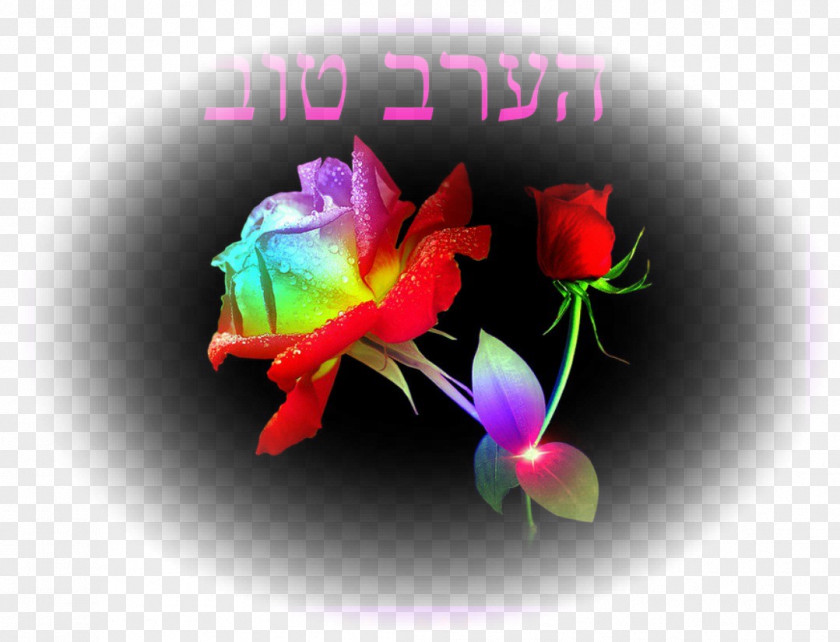 Cosmic Consciousness Desktop Wallpaper Image Photograph Flower Rainbow Rose PNG