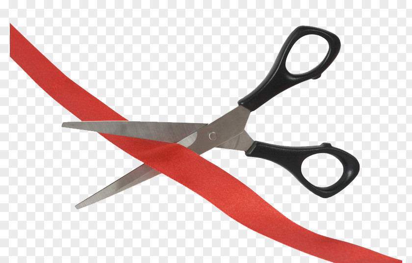 Grand Opening Scissors Fleming Island Cutting Nipper PNG