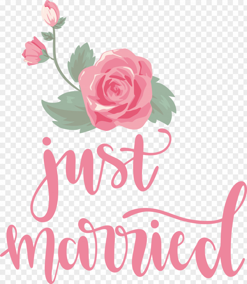 Just Married Wedding PNG