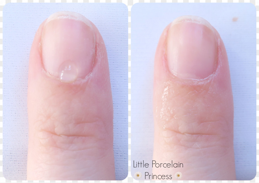 Nail Polish Cuticle Technician Art PNG