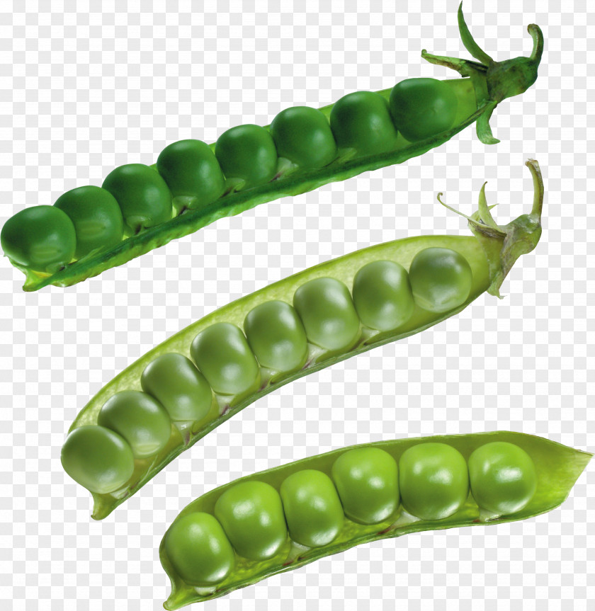 Pea Soup Split Pulseless Electrical Activity Vegetable PNG