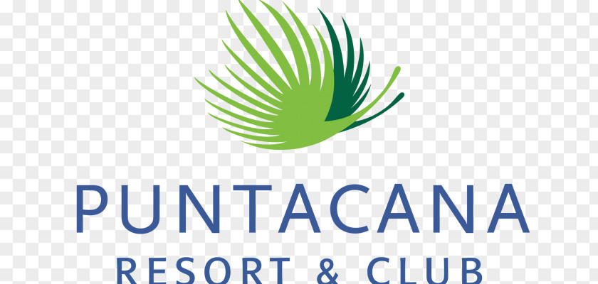 Punta Cana International Airport Hotel The Grupo Puntacana Foundation PNG