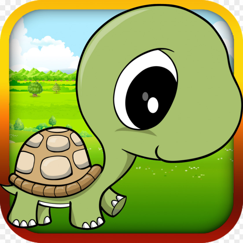 TORTOISE Turtle Drawing Tortoise Clip Art PNG