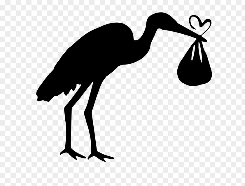 Bird White Stork Black Clip Art PNG