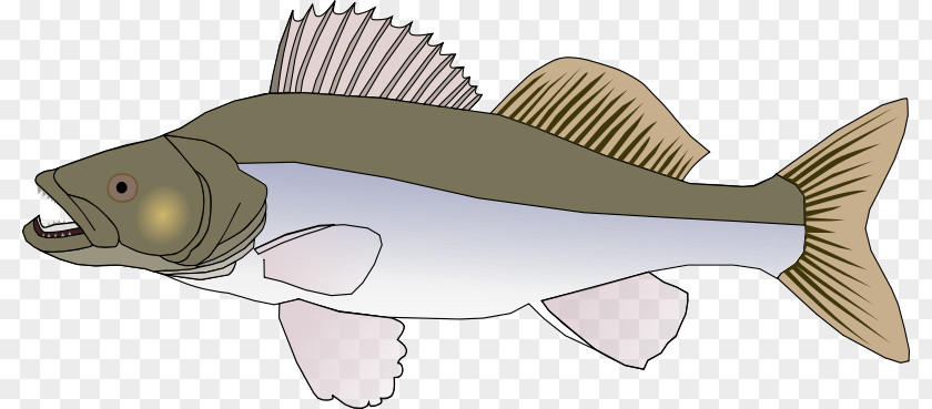 Northern Pike Walleye Clip Art PNG