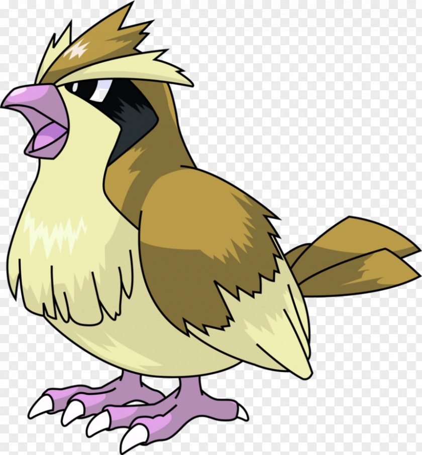 Pidgey Vector Pidgeotto Spearow Dugtrio PNG