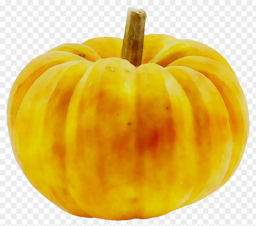 Pumpkin Gourd Calabaza Winter Squash Vegetarian Cuisine PNG