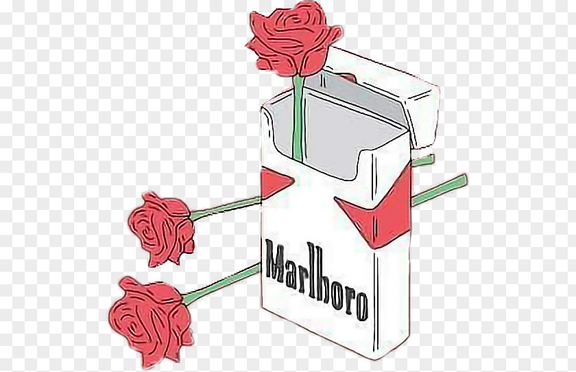 20 Cigarettes Marlboro Cigarettes, Black20 Rose ShirtCigarette Black PNG