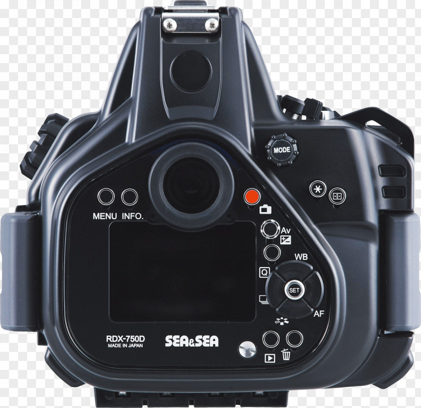 Camera Lens Digital SLR Canon EOS 750D 800D 300D PNG