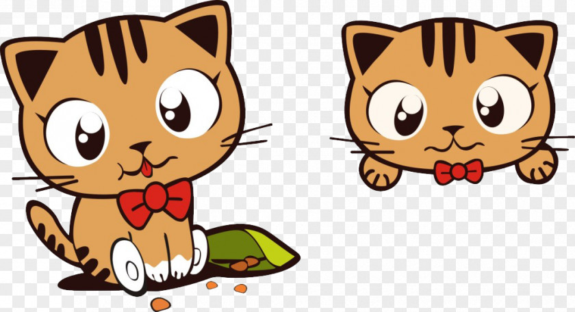 Cute Cat Cartoon PNG