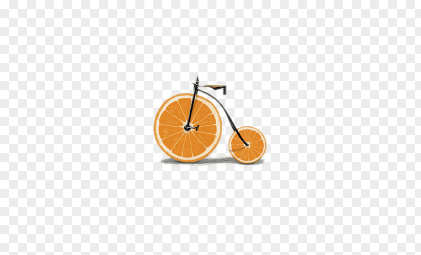 Orange Bike Bicycle Wheel Mountain Bikes Art PNG