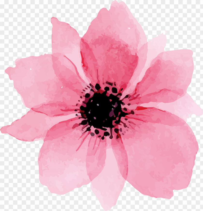 Pink Lovely Watercolor Flowers Euclidean Vector PNG