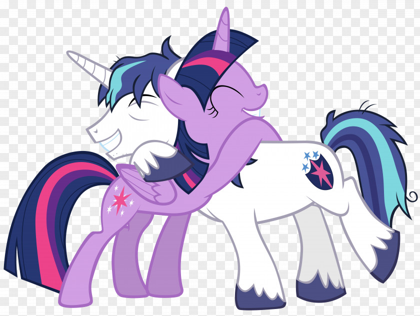 Shining Vector Pony Armor Twilight Sparkle Princess Cadance The Crystalling Pt. 1 PNG