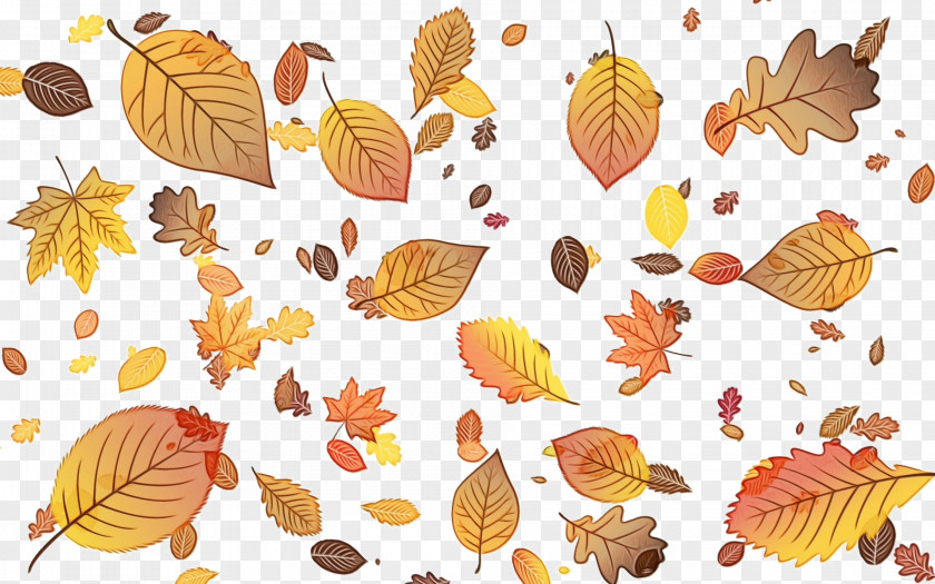 Autumn Plant PNG