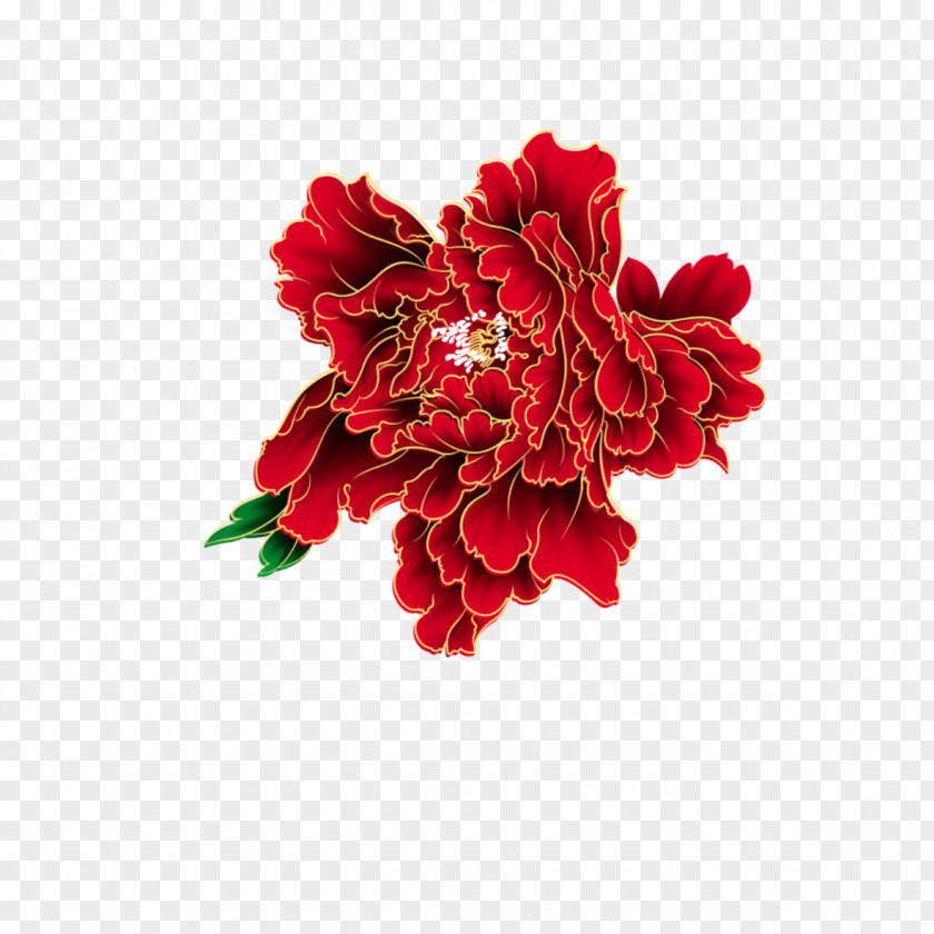 Chinese New Year Peony Lunar Moutan PNG