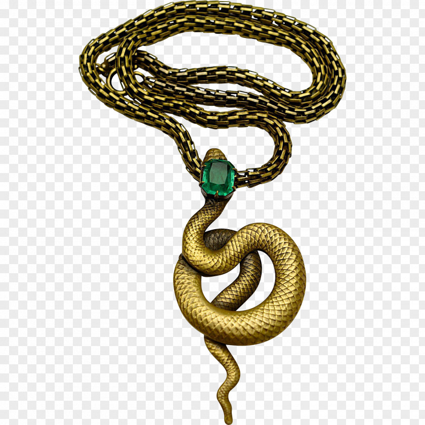 Necklace Charms & Pendants Snakes Jewellery Serpent PNG