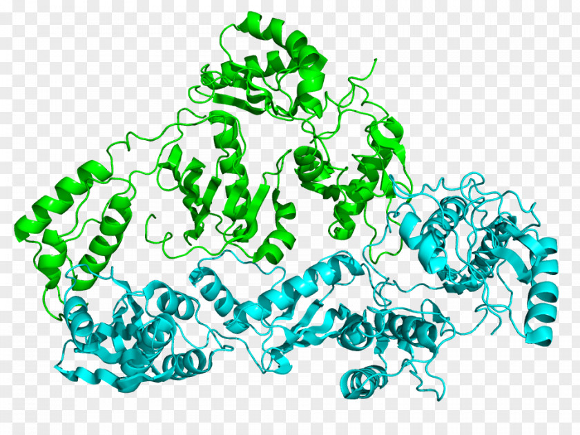 Cyan Reverse Transcriptase RNA DNA Polymerase Enzyme PNG