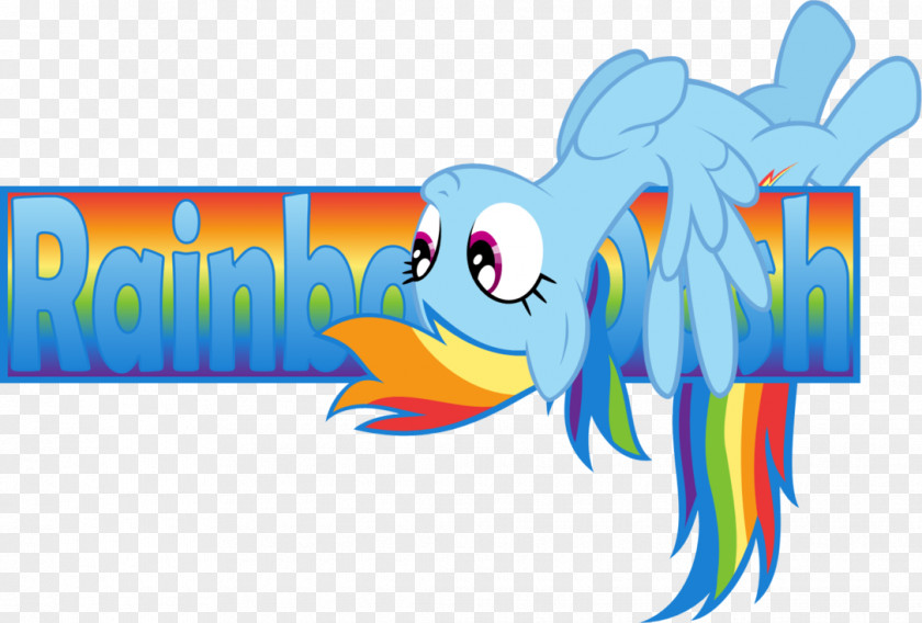 Dash Rainbow Pinkie Pie Twilight Sparkle Rarity Pony PNG