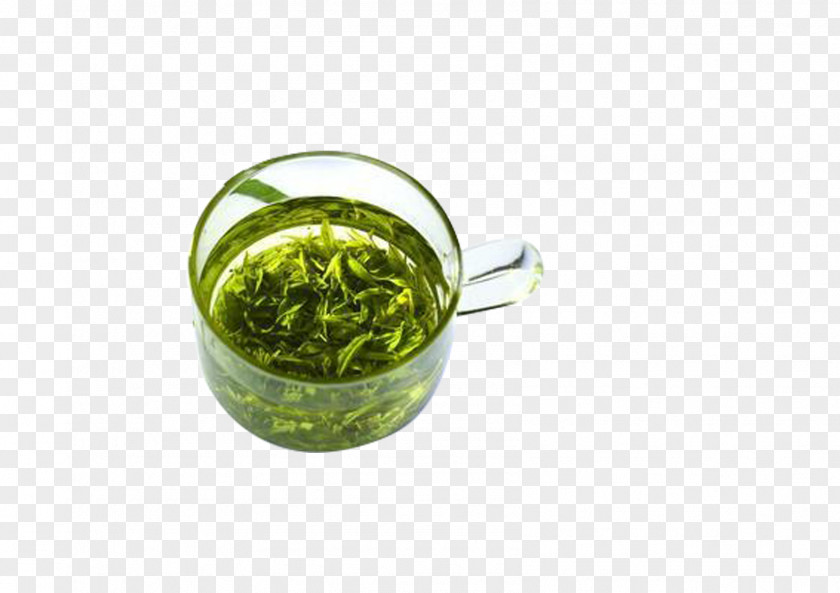 Delicious Green Tea Leaf Vegetable Tableware Recipe PNG