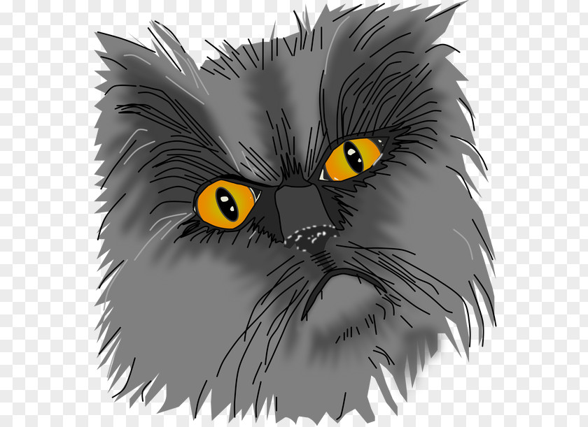 Fooling Around Night Black Cat Whiskers Grumpy PNG