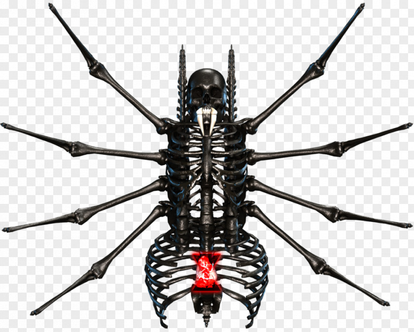 Insect Membrane PNG