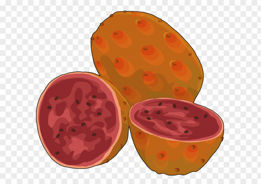 Tuna Fruit Food Drawing Barbary Fig PNG