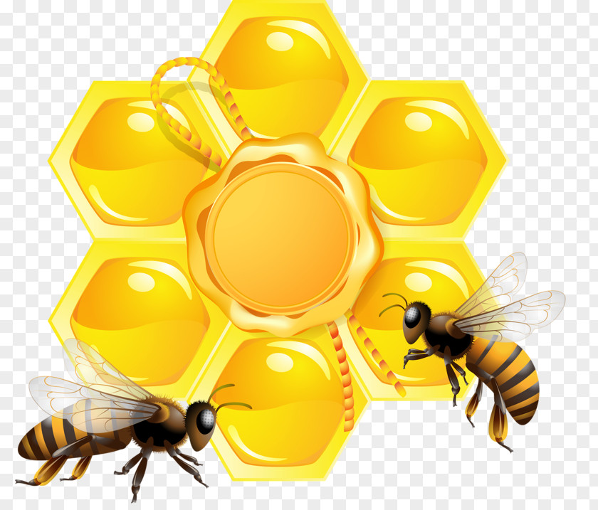 Yellow Honey Bee Honeycomb Beehive PNG