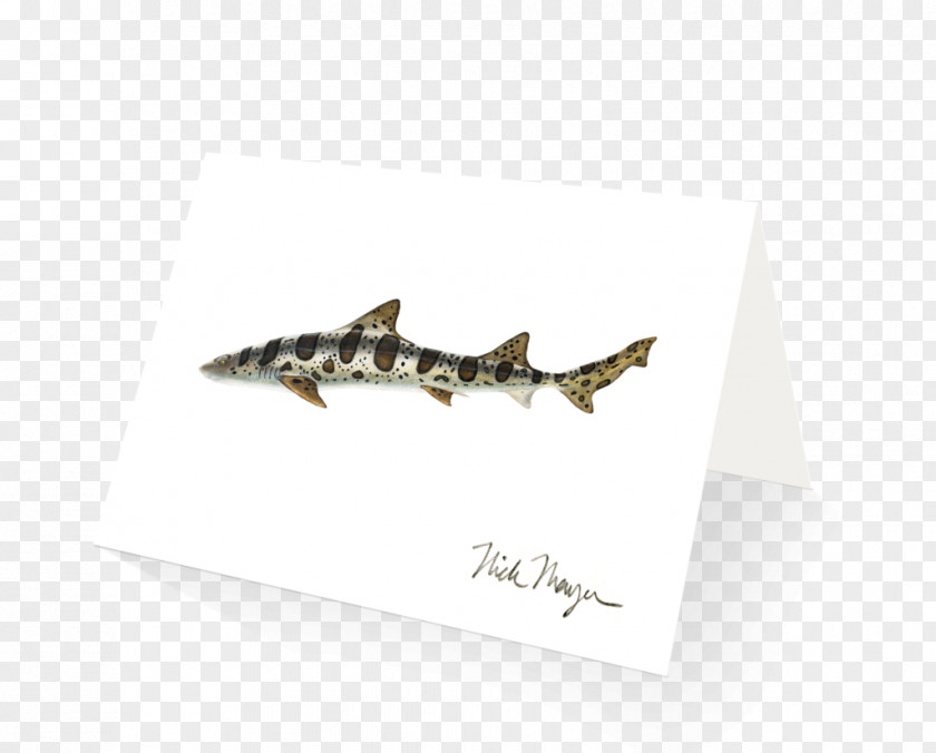 BABY SHARK Jewellery Font PNG