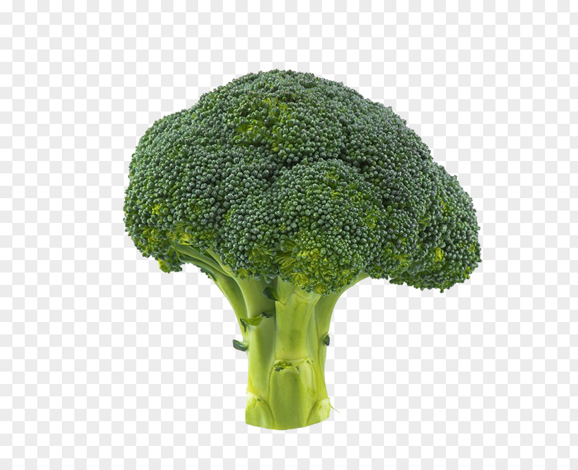 Broccoli Image Vegetable Cauliflower PNG