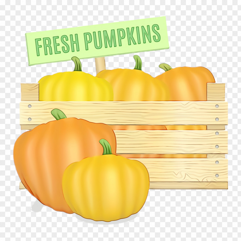 Food Plant Pumpkin PNG
