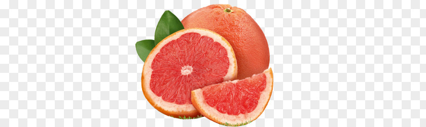 Grapefruit PNG clipart PNG