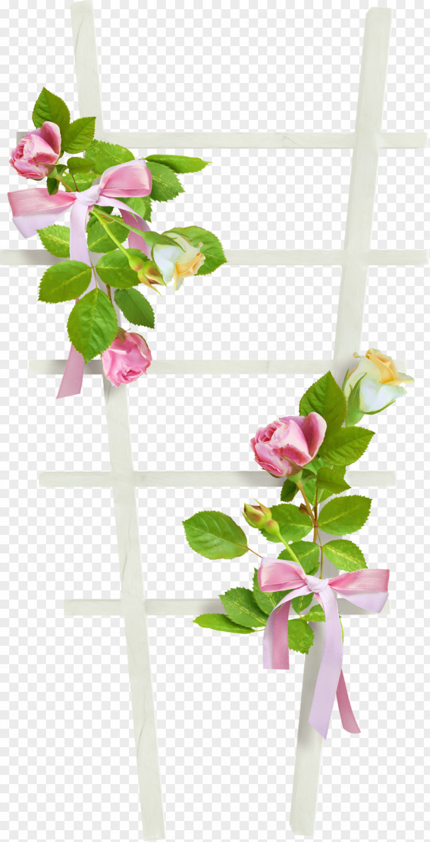 Ladder MIME Garden Roses Computer File PNG