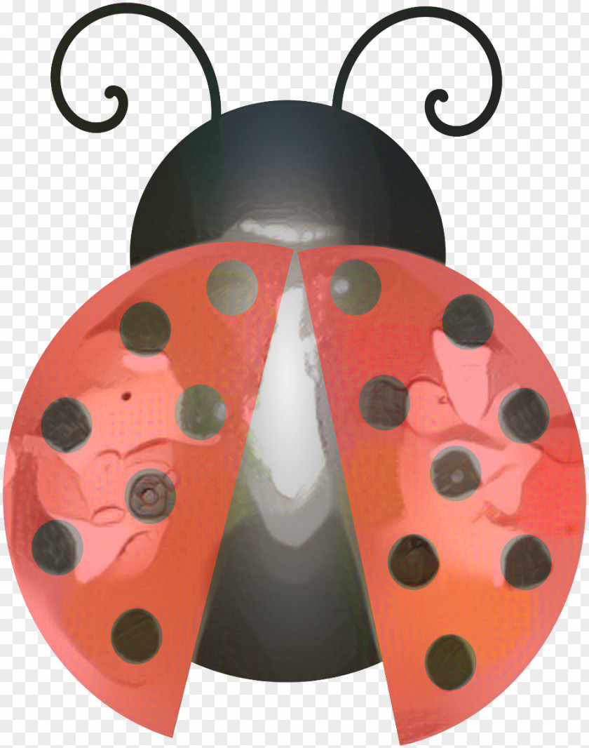 Ladybird Beetle Drawing Image PNG