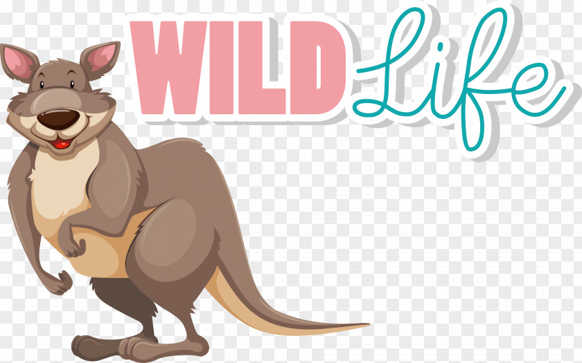 Marsupials Macropods Kangaroo Dog Cartoon PNG