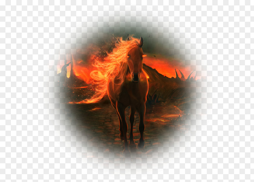 Pas De Deux Mane Desktop Wallpaper Mustang ArtFire ArtHorse PNG