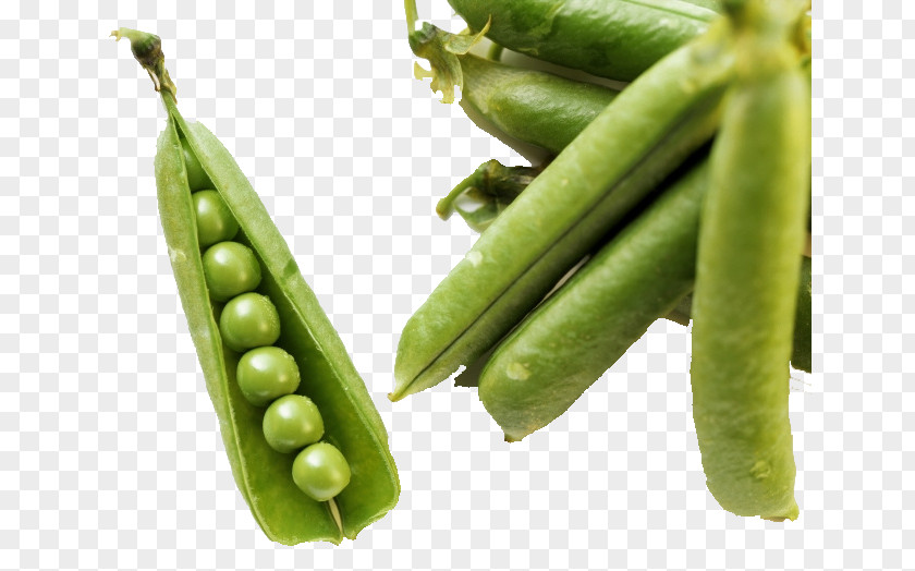 Pea Green Bean Vegetable Food Common PNG