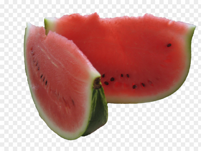 Watermelon Cucurbitaceae Gourd PNG