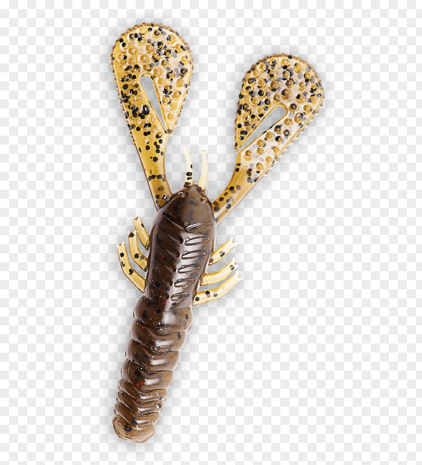 Bama Illustration Jewellery Insect Membrane PNG