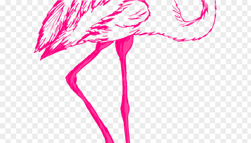 Bird Magenta Line Drawing PNG