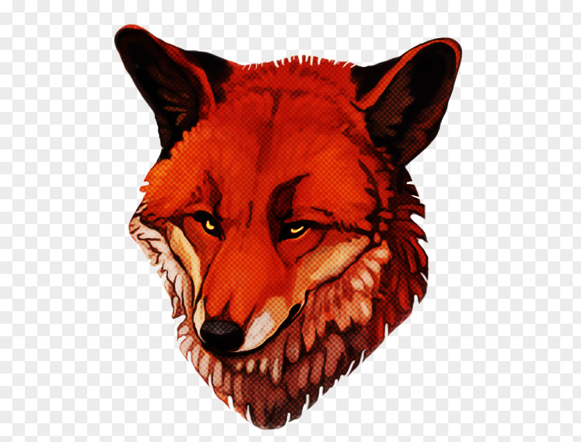 Coyote Fox Head Red Snout Wildlife Wolf PNG
