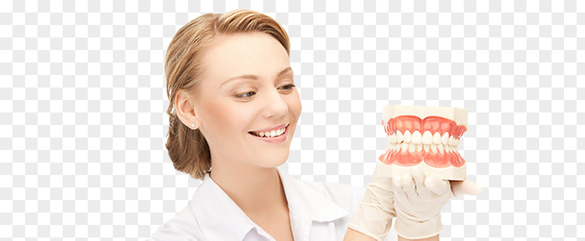 Dentist Clinic Dentistry Physician Medicine PNG