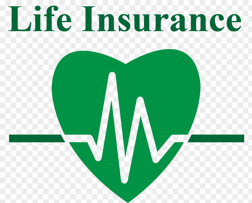 Insurance Term Life Whole Pension PNG