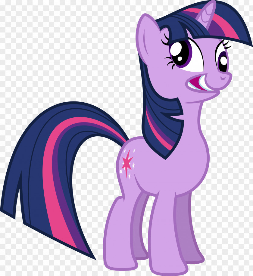 My Little Pony Twilight Sparkle Pinkie Pie Princess Cadance Winged Unicorn PNG