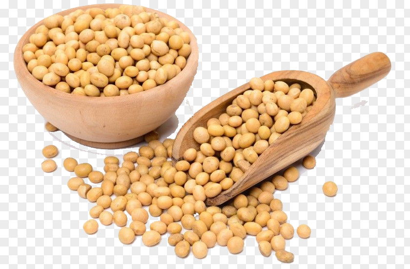 Soybean Oil Genetically Modified Organic Food Legumes Meal PNG