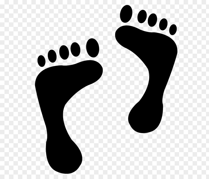 Footprint Toe Sole Clip Art PNG