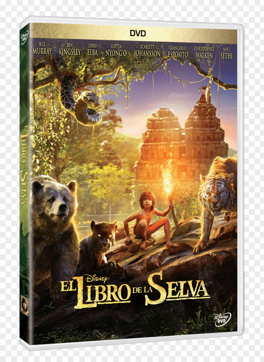Libro De La Selva Mowgli The Jungle Book Blu-ray Disc Bagheera Amazon.com PNG