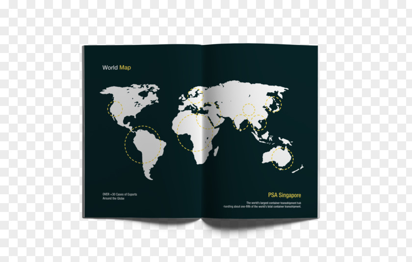 One Page Brochure World Map Globe PNG