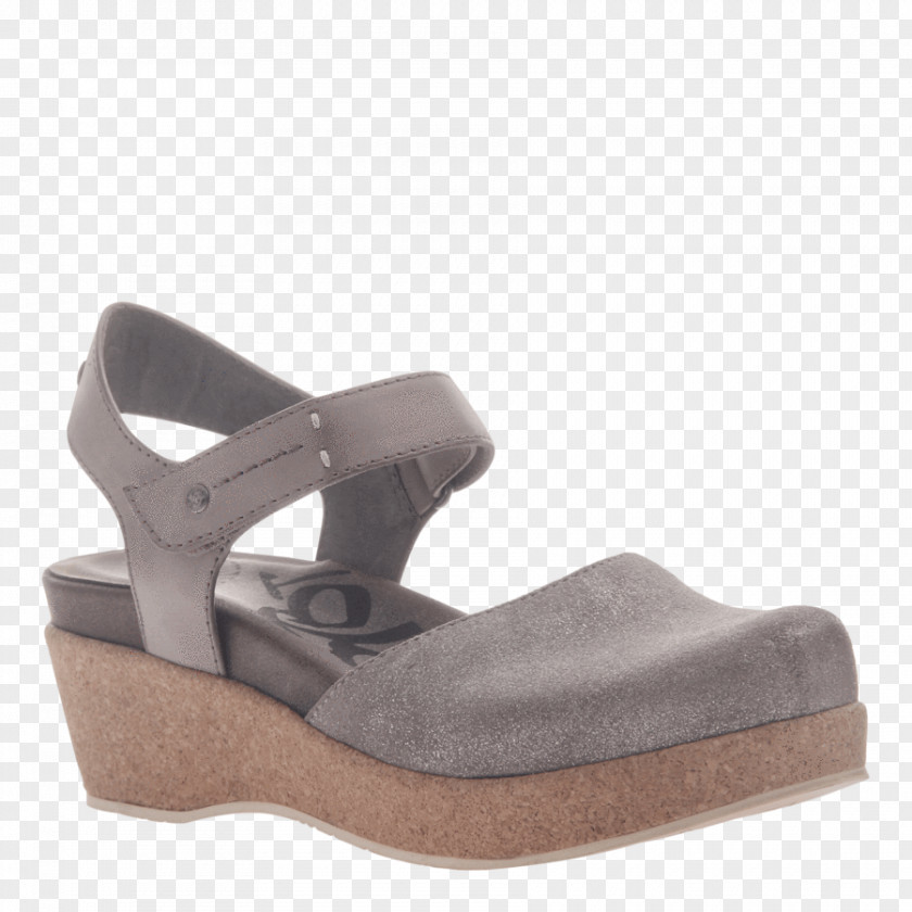 Sandal Shoe Wedge Footwear Clothing PNG